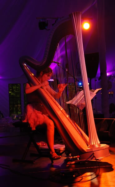 Harpe électrique