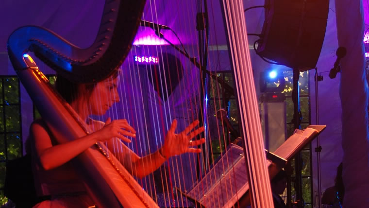Harpe electrique