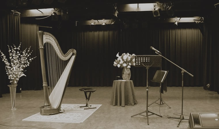 Scene de concert