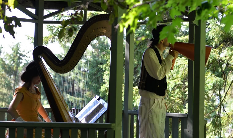 Annonce du concert de harpe