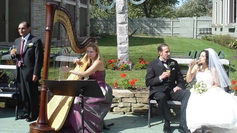 Harpe lors d'un cocktail de mariage